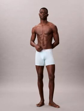Icon Cotton Stretch 5-Pack Boxer Brief