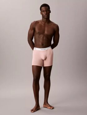 Icon Cotton Stretch Boxer Brief