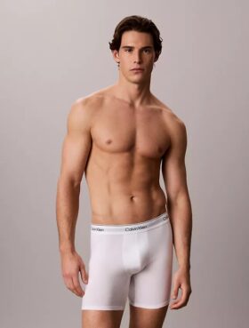 Icon Cotton Stretch Boxer Brief