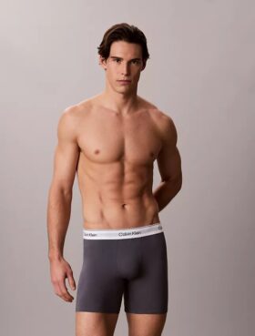 Icon Cotton Stretch Boxer Brief