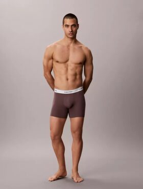 Icon Cotton Stretch Boxer Brief
