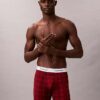 Icon Cotton Stretch Holiday Boxer Brief