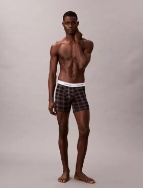 Icon Cotton Stretch Holiday Boxer Brief