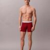 Icon Cotton Stretch Limited Edition Boxer Brief