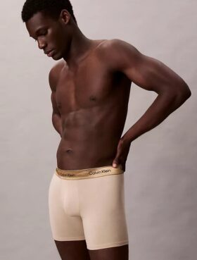 Icon Cotton Stretch Limited Edition Boxer Brief