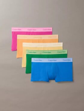Icon Cotton Stretch Pride 5-Pack Low Rise Trunk
