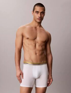 Icon Cotton Stretch Pride Boxer Brief