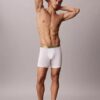 Icon Cotton Stretch Pride Boxer Brief