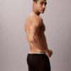 Icon Cotton Stretch Pride Boxer Brief