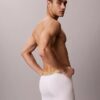 Icon Cotton Stretch Pride Boxer Brief