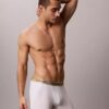Icon Cotton Stretch Pride Boxer Brief