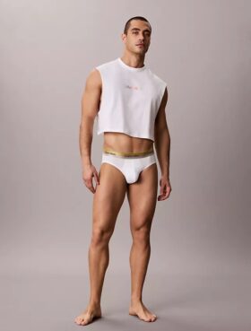 Icon Cotton Stretch Pride Hip Brief