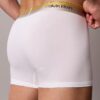 Icon Cotton Stretch Pride Trunk