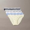 Icon Logo 5-Pack Low Rise Bikini