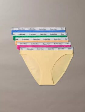 Icon Logo 5-Pack Low Rise Bikini