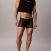 Icon Mesh Pride Boxer Brief