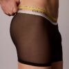 Icon Mesh Pride Boxer Brief