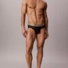 Icon Mesh Pride Hip Brief