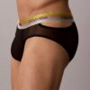 Icon Mesh Pride Hip Brief