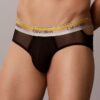 Icon Mesh Pride Hip Brief