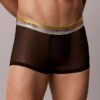 Icon Mesh Pride Low Rise Trunk