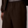 Icon Sport Logo Waistband Woven Shorts