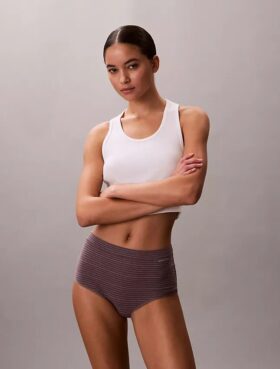 Ideal Cotton High Rise Brief