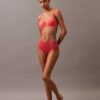 Ideal Micro Mid Rise Cheeky Brief