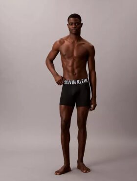 Intense Power Micro 3-Pack Boxer Brief