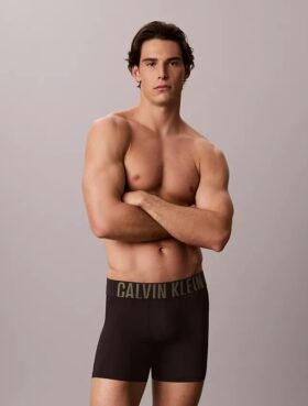Intense Power Micro 3-Pack Boxer Brief