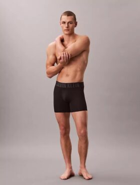 Intense Power Micro 3-Pack Boxer Brief