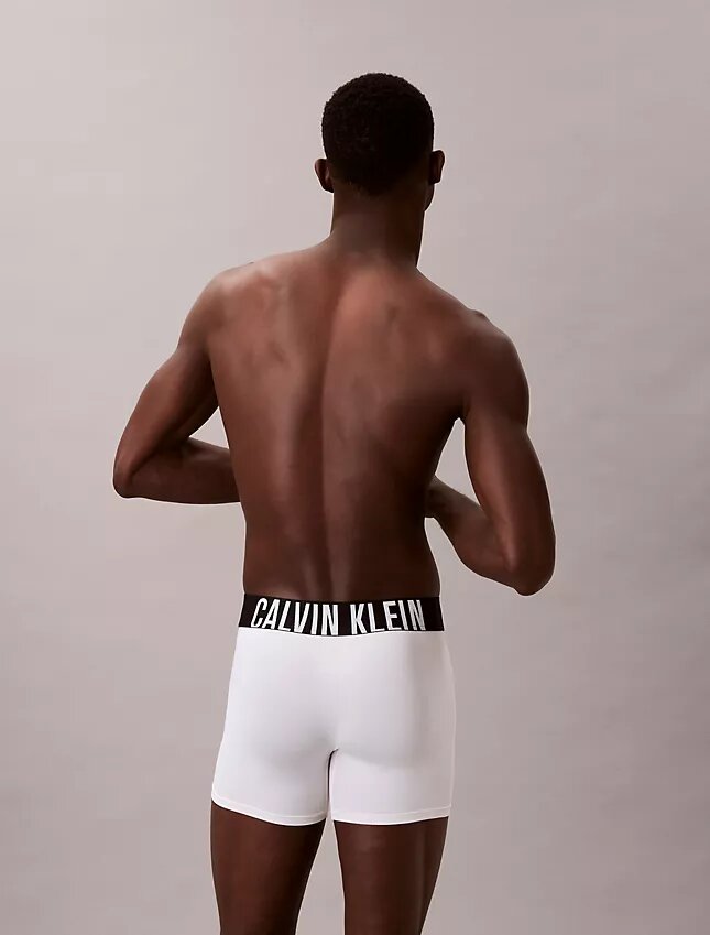 Intense Power Micro 3-Pack Boxer Brief Intense Power Micro 3-Pack Boxer Brief