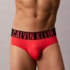 Intense Power Micro 3-Pack Hip Brief