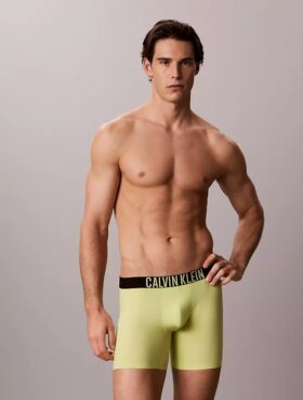 Intense Power Motion Boxer Brief