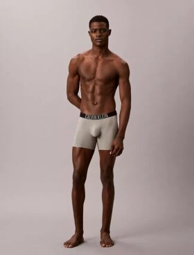 Intense Power Motion Boxer Brief