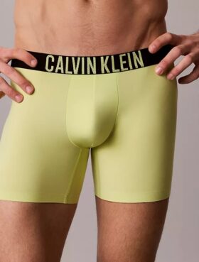Intense Power Motion Boxer Brief