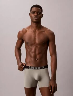 Intense Power Motion Boxer Brief