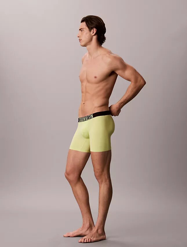 Intense Power Motion Boxer Brief Intense Power Motion Boxer Brief