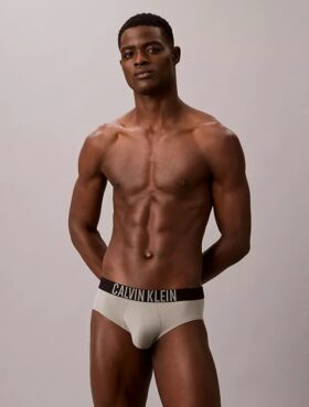 Intense Power Motion Brief