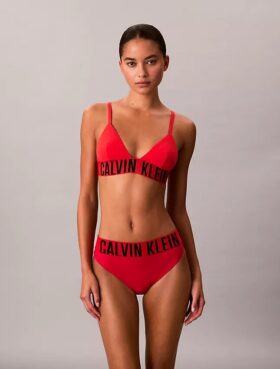 Intense Power Swim Triangle Bikini Top