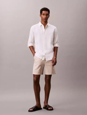 Linen Blend Stripe Shorts