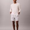Linen Blend Stripe Shorts