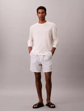 Linen Blend Stripe Shorts
