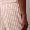 Linen Blend Stripe Shorts
