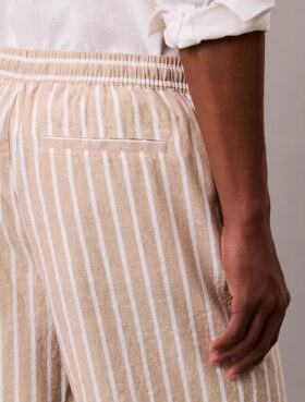 Linen Blend Stripe Shorts