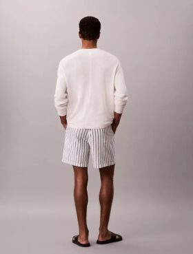 Linen Blend Stripe Shorts