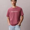 Lowercase Logo Graphic Classic T-Shirt Lowercase Logo Graphic Classic T-Shirt