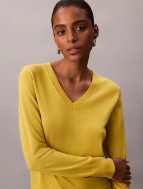 Merino Wool V-Neck Sweater