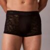 Microfiber Lace Low Rise Trunk Microfiber Lace Low Rise Trunk