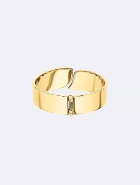 Minimalist Organic Shape Bangle Minimalist Organic Shape Bangle